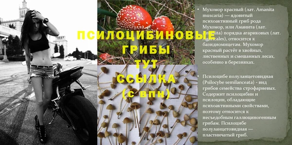 mix Заволжье