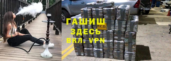 стаф Заводоуковск